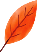 Watercolor Hand drawn Autumn Leaf png