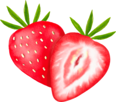 Watercolor painted Strawberry png