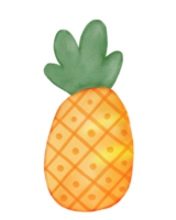 waterverf zomer ananas png
