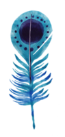 watercolor painted feather png