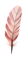 watercolor painted feather png