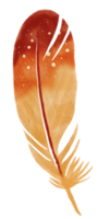 watercolor painted feather png