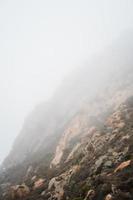 Morning mist on Morro rock California photo