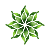 grünes Mandala-Aquarell gemalt png