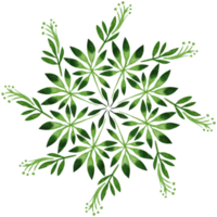 grünes Mandala-Aquarell gemalt png