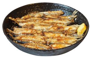 fried fish capelin on frypan isolated on white photo