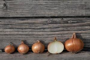 Several onions lie next to each other. They are sorted by size. An onion is sliced. The background are planks of wood. There is space for text. photo