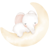 cute elephant in watercolor png