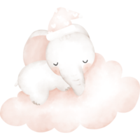 carino elefante nel acquerello png