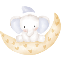 carino elefante nel acquerello png