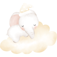 cute elephant in watercolor png