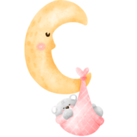 luna y bebe oso png