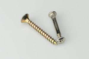 A closeup of a self-tapping screw and a coupling bolt on a white background photo