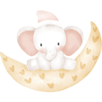 cute elephant in watercolor png