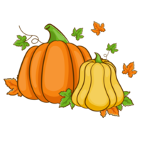 hand gezeichnete halloween-herbstkürbisse png