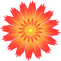 Colorful banner design on transparent background PNG Similar PNG