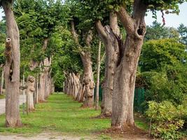 forest and castle in  westphalia photo