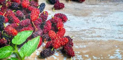 Fresh Mulberry's organic is a healthy super fruit source of vitamins on the old wooden background. mix mulberry fruit in Thailand. photo