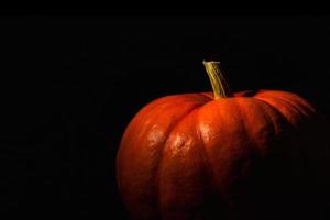 primer plano de calabaza naranja, patrón y textura de la cáscara con el tallo. antecedentes foto