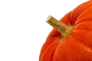 Orange pumpkin with a stem, close-up on a white isolated background. Autumn background. Copy spaces. photo