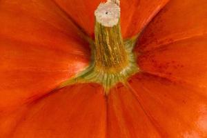 Orange pumpkin with stem, close-up, Autumn background. Thanksgiving Day. photo