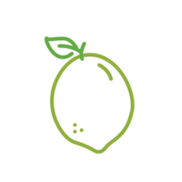 Lime Fruit Simple Line Illustrations png
