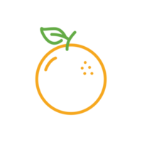 Ilustraciones de orange fruit line png