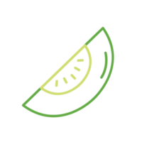 Melon Fruit Simple Line Illustrations png