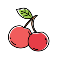 körsbär frukt översikt illustrationer png