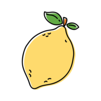 ilustrações de contorno de frutas de limão png