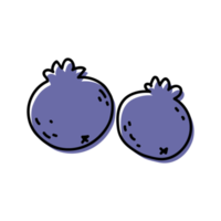 Blueberry Fruit Outline Illustrations png