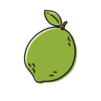 illustrations de contour de citron vert png