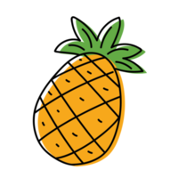 Pineapple Fruit Outline Illustrations