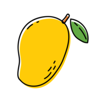 Mango Fruit Outline Illustrations png