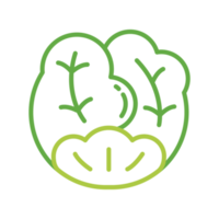Cabbage Vegetable Simple Line Illustration png