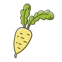 ilustración de contorno vegetal de rábano png