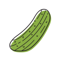 ilustración de contorno vegetal de pepino png