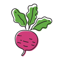 ilustración de contorno vegetal de remolacha png