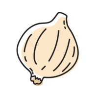 ilustración de contorno vegetal de ajo png