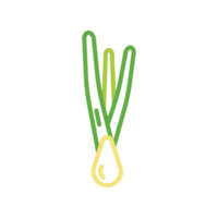 illustration de ligne simple de légume scalion png