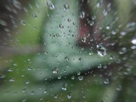 Dew drops lie on a cobweb photo