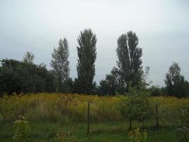 Panorama of the autumn field in the village photo