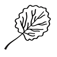 Leaf outline illustration, PNG with transparent background.