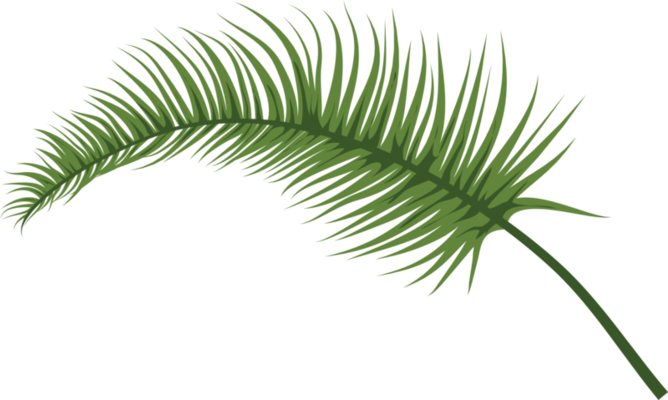 Green Leaf PNGs for Free Download