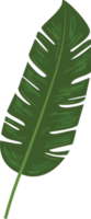 botanisk grön blad png