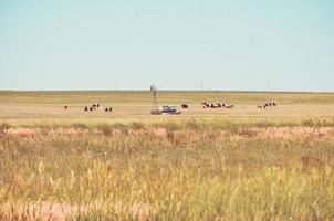 molino de viento en una granja foto