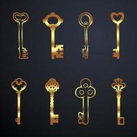 set of golden keys vector