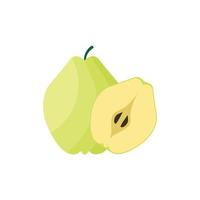 Quince Flat design clip art vector illustration isolated on a white background