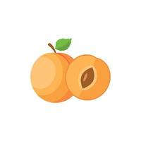 Apricot Flat design clip art vector illustration isolated on a white background
