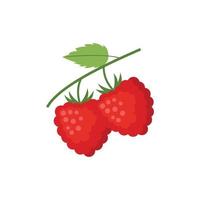 Raspberry Flat design clip art vector illustration isolated on a white background